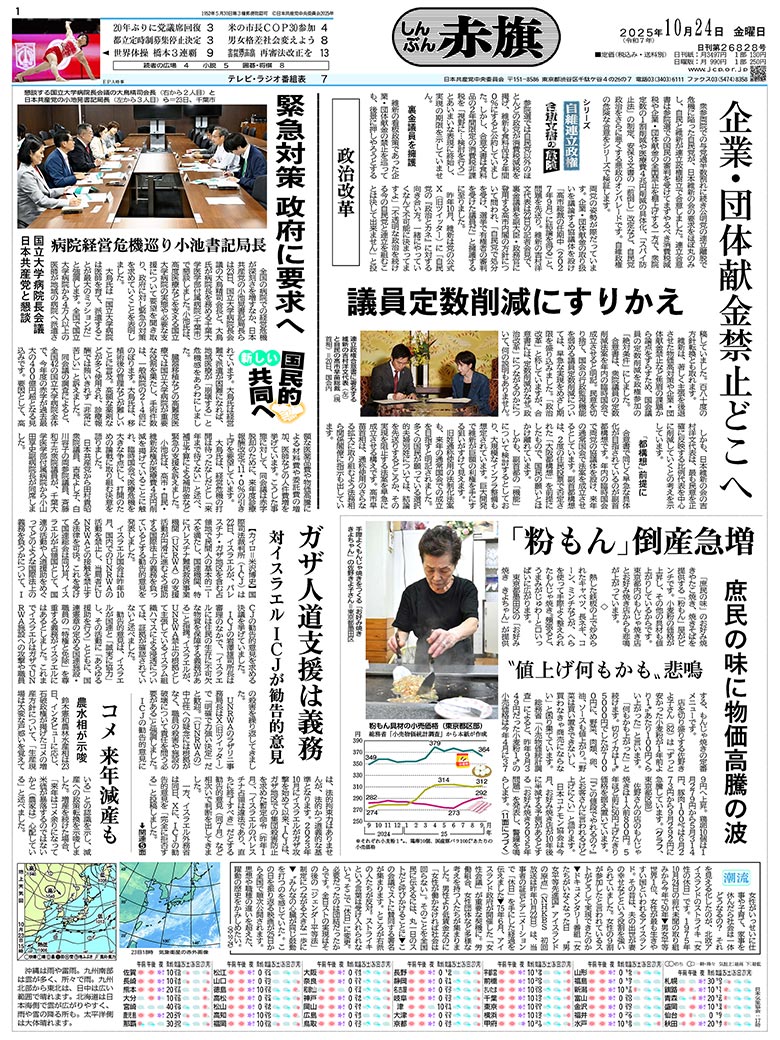 日刊紙電子版