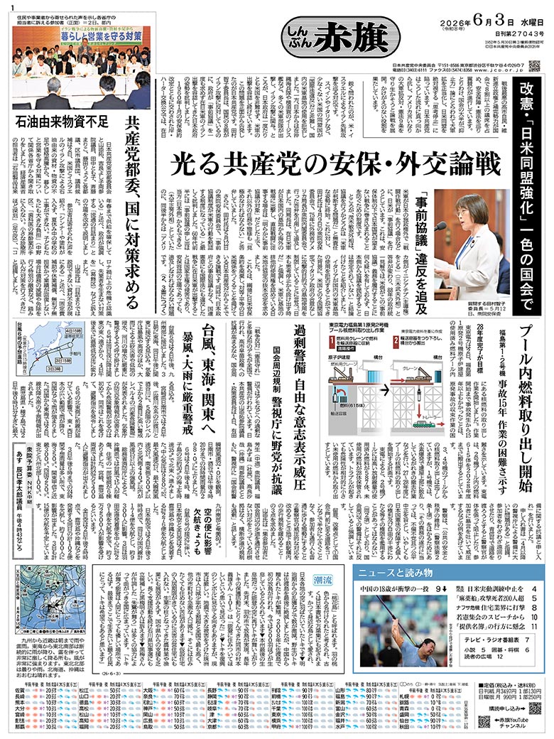 日刊紙電子版
