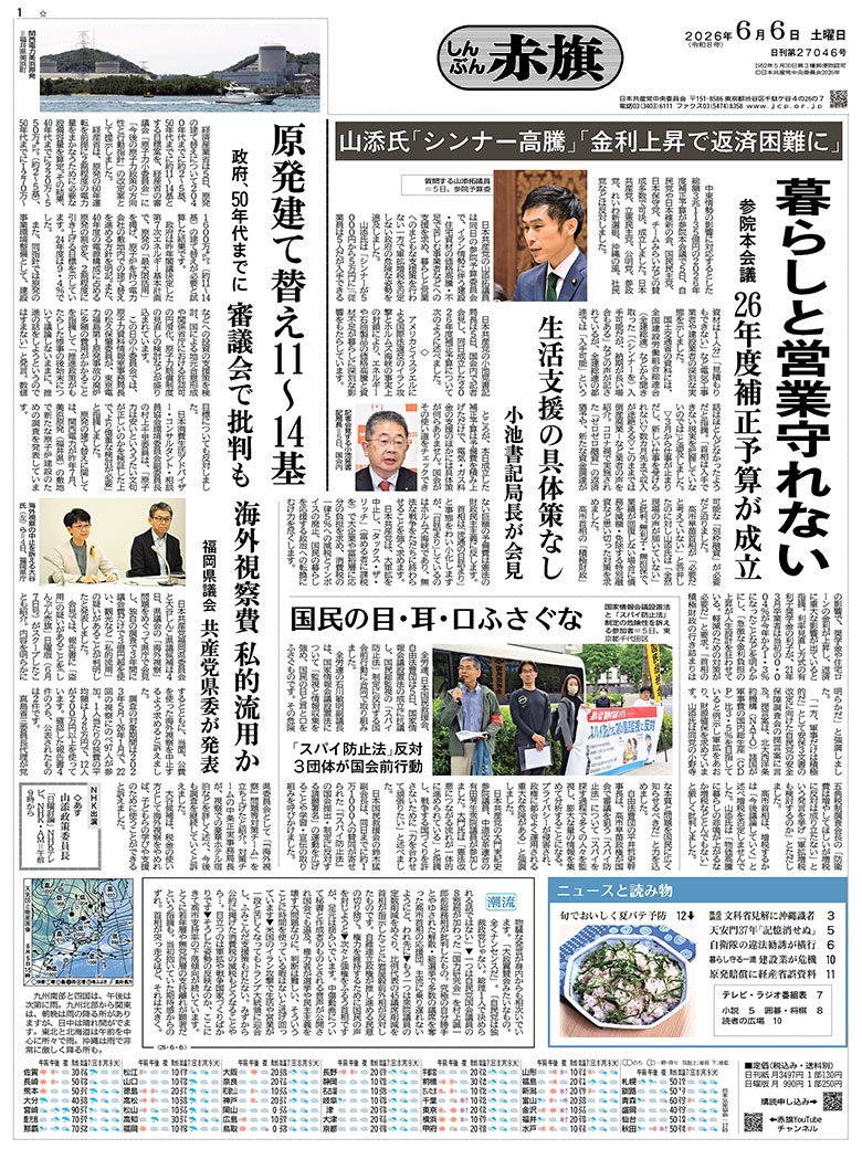 日刊紙電子版