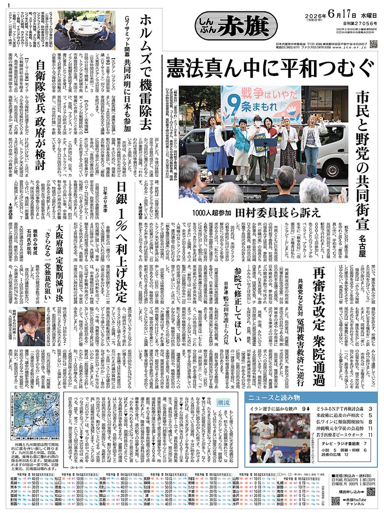 日刊紙電子版