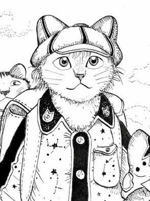 メイン画像