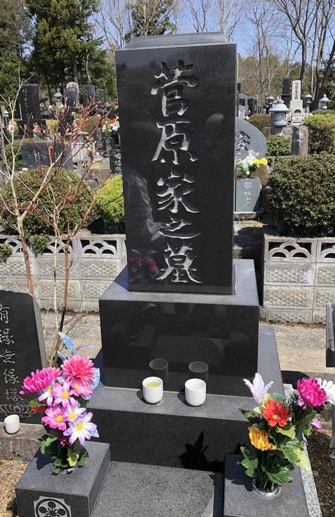 メイン写真